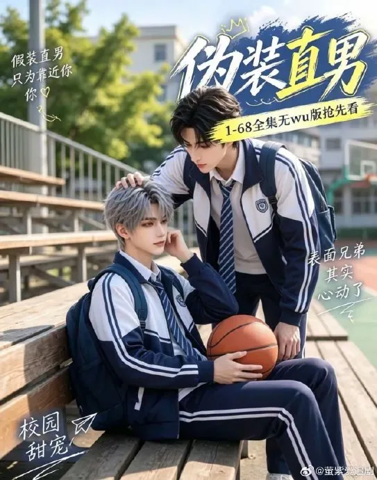 《伪装直男》封面